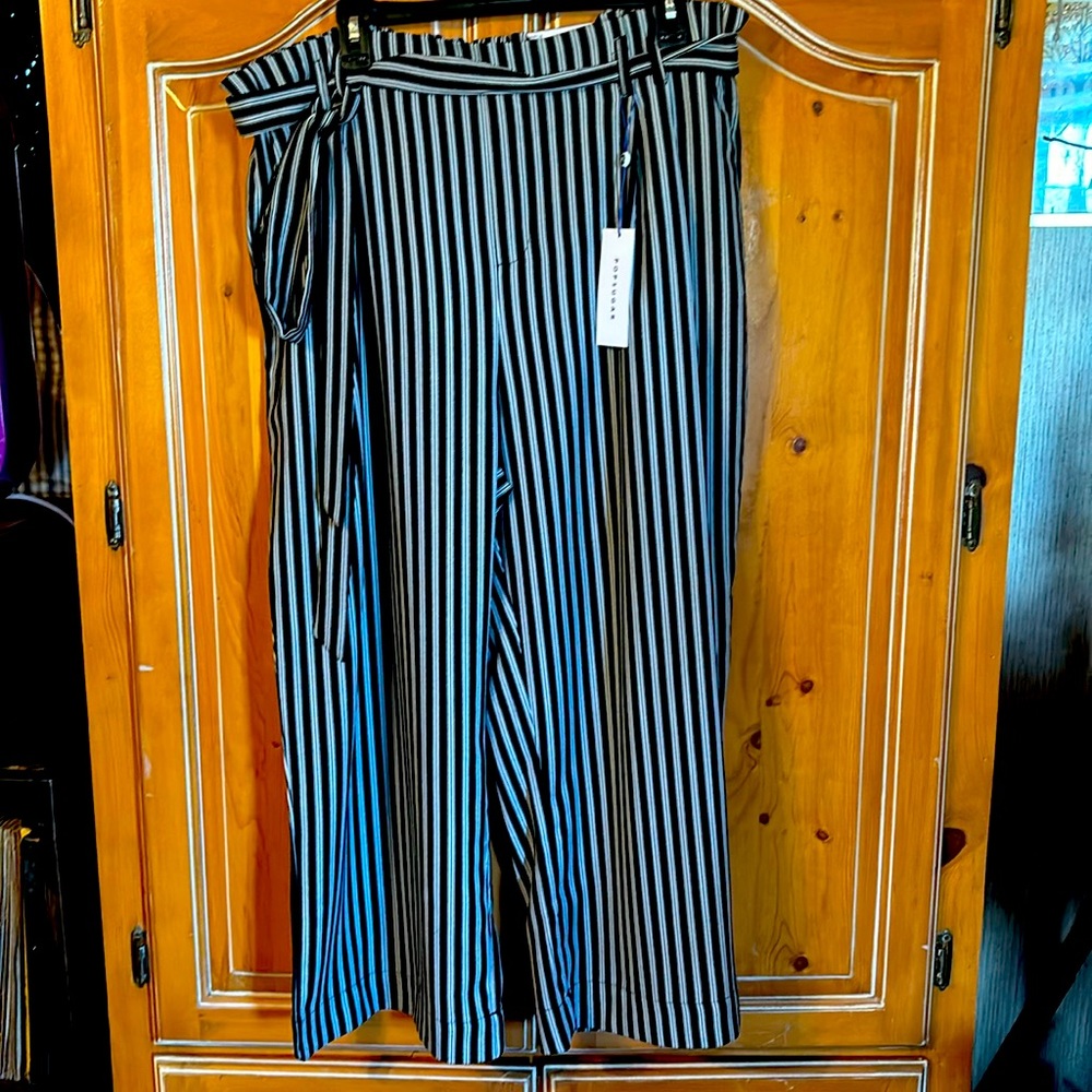 NWT Popsugar ankle pants XXL